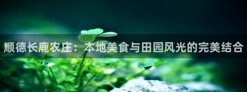 琳琅QQ娱乐机器人