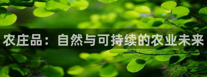 杭州琳琅互动娱乐