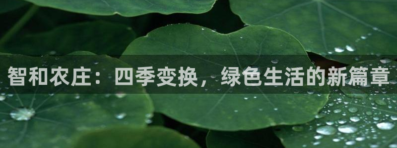 琳琅娱乐APP下载