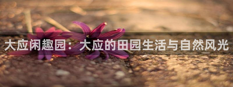 琳琅娱乐工作室招聘条件