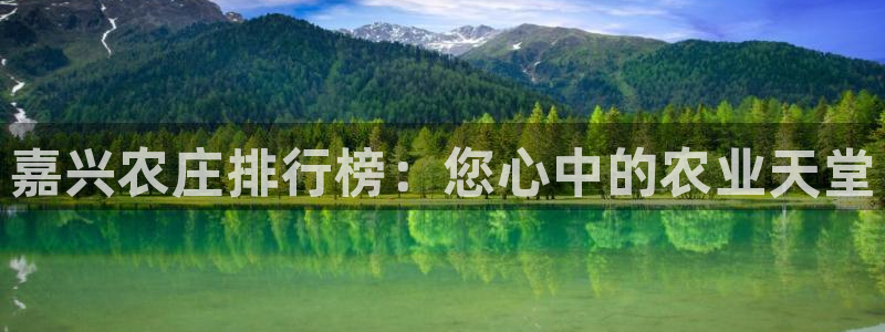 琳琅聊娱乐
