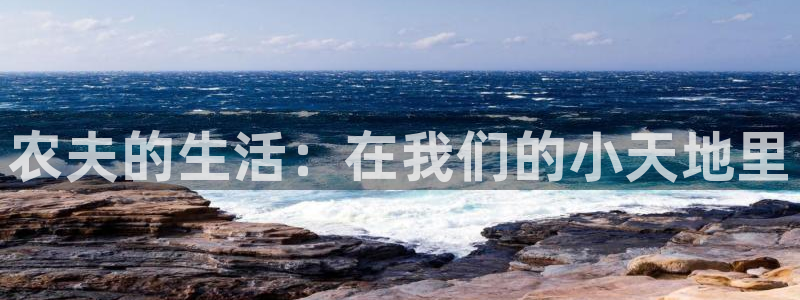 琳琅聊娱乐