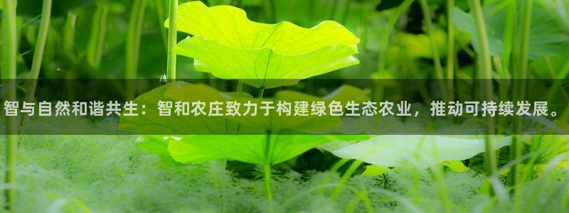 琳琅娱乐温柔乡网站