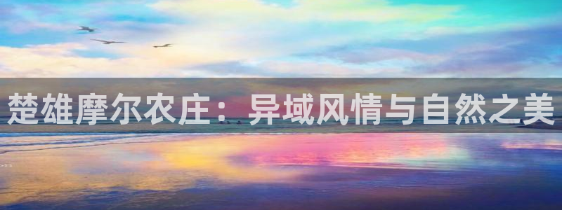 琳琅社区综艺文化娱乐