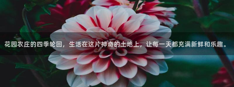 琳琅娱乐场所