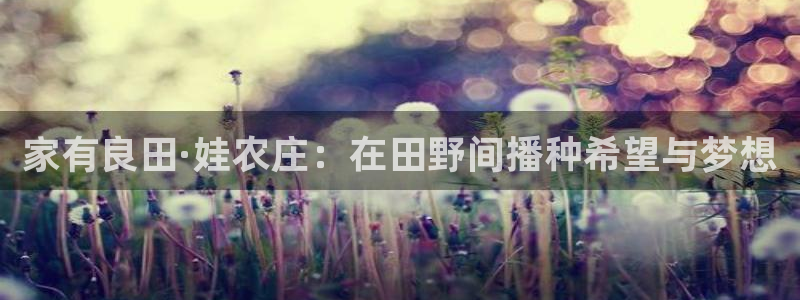 琳琅科技娱乐QQ机器人