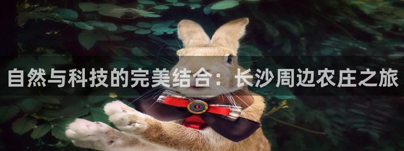 琳琅社区娱乐视频