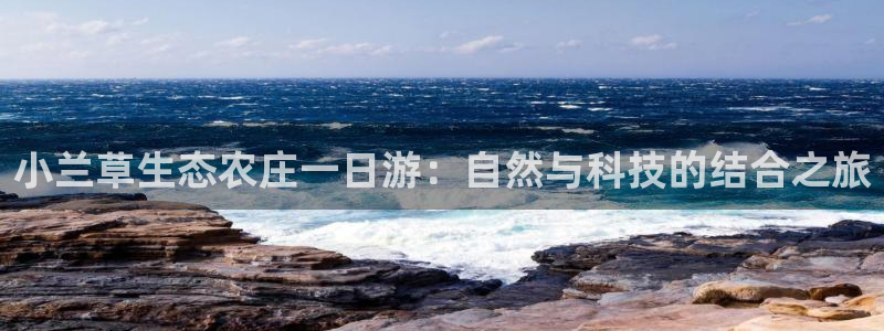琳琅社区文艺娱乐