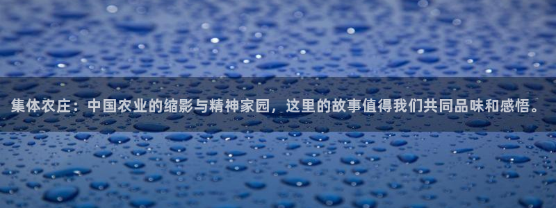 琳琅娱乐 全麦优质