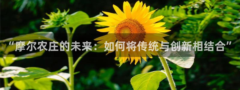 娱乐从琳琅榜开始笔趣阁