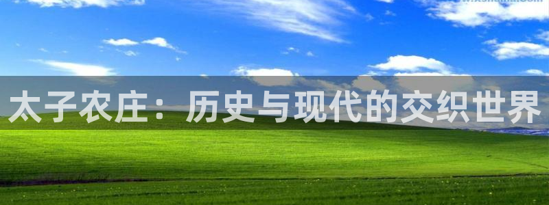 琳琅娱乐总代