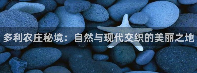 琳琅国际娱乐会所怎么样
