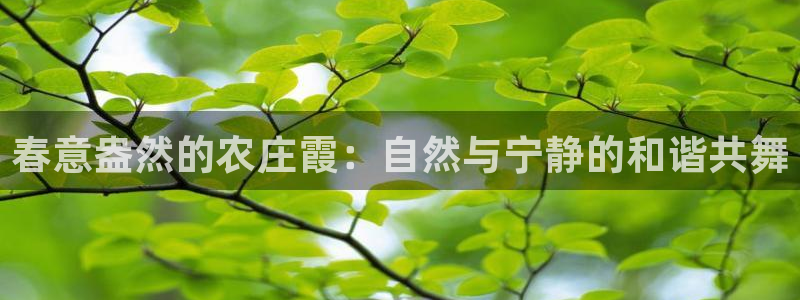 娱乐从琳琅榜开始笔趣阁