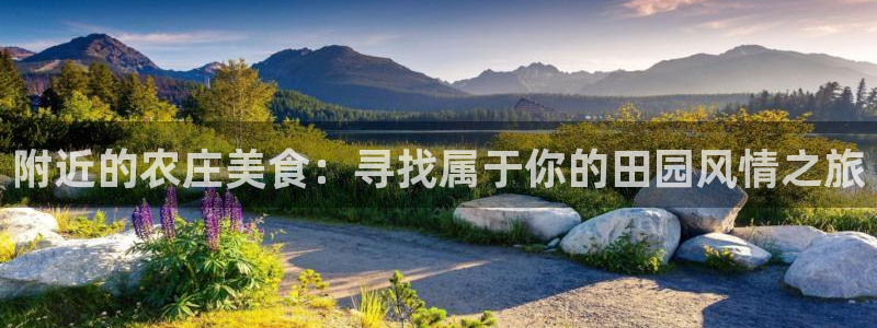 琳琅满目的娱乐设施