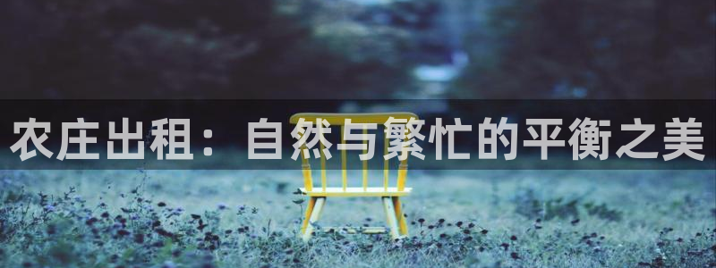 琳琅娱乐 全麦优质