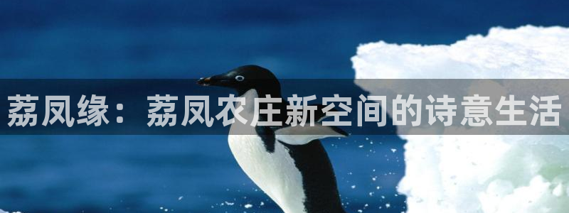 琳琅聊娱乐