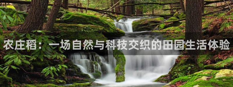 琳琅娱乐平台怎么样可靠吗