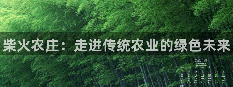 琳琅娱乐工作室怎么样啊