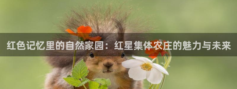 琳琅娱乐周7O777