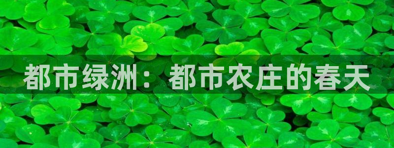 琳琅娱乐工作室怎么样