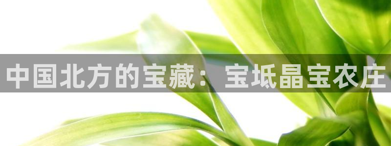琳琅娱乐m