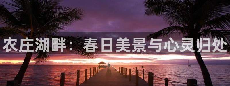 琳琅娱乐工作室地址