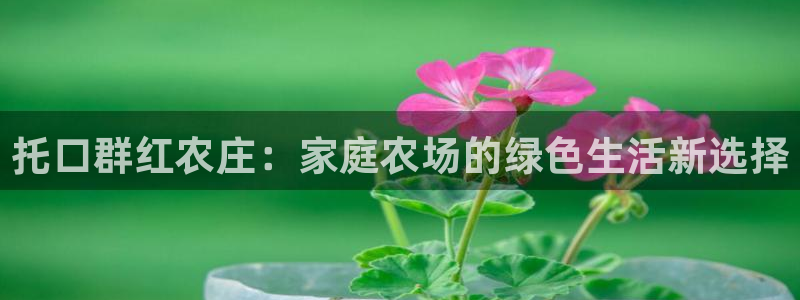 娱乐从琳琅榜开始笔趣阁
