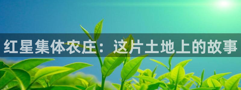 琳琅娱乐代理