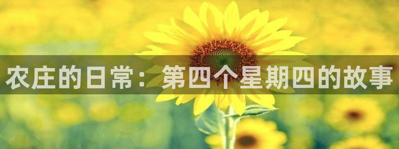 梧州琳琅娱乐城
