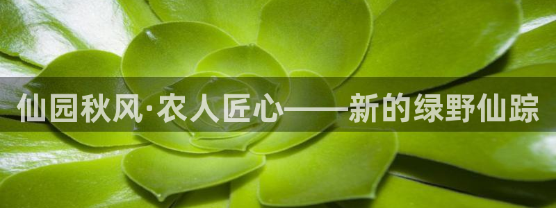 琳琅娱乐场所在哪里