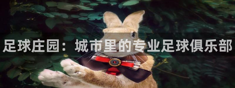 琳琅娱乐平台怎么样知乎