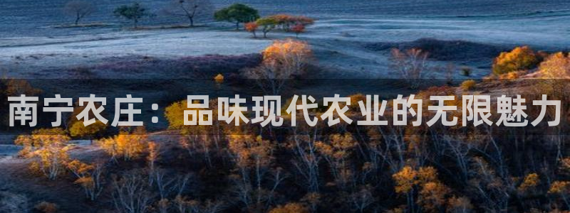 娱乐从琳琅榜开始的小说