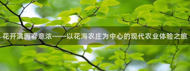 琳琅娱乐平台怎么样可靠吗