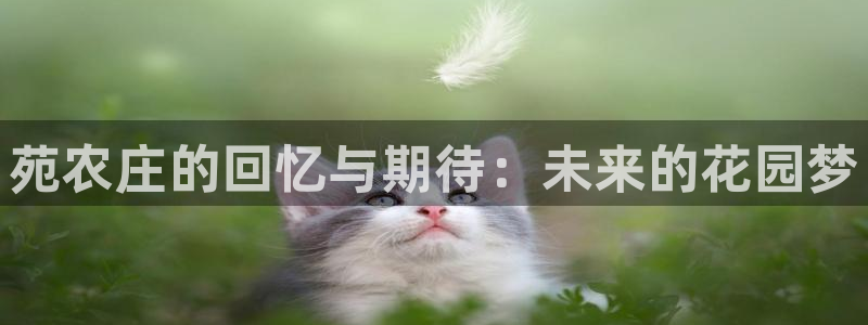 琳琅娱乐 全麦优质