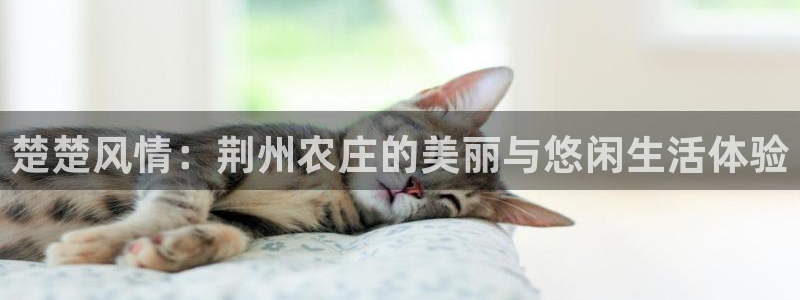琳琅娱乐平台登陆