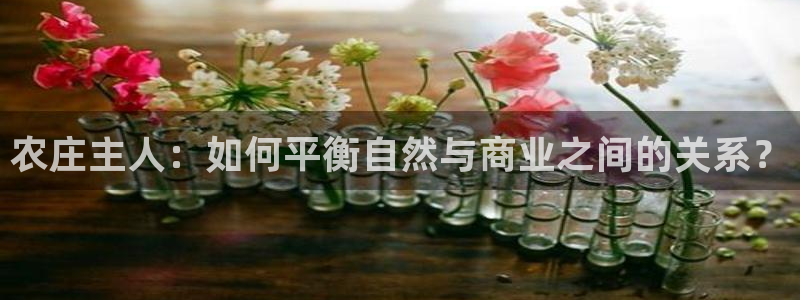 琳琅娱乐信誉33300