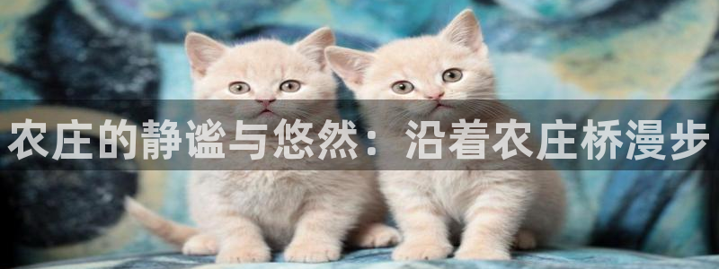 琳琅娱乐在哪直播的