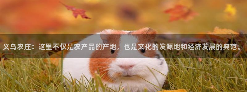 琳琅娱乐怎么样