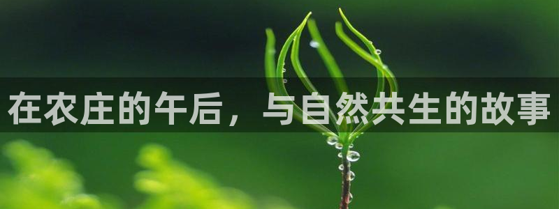 娱乐 从琳琅榜开始