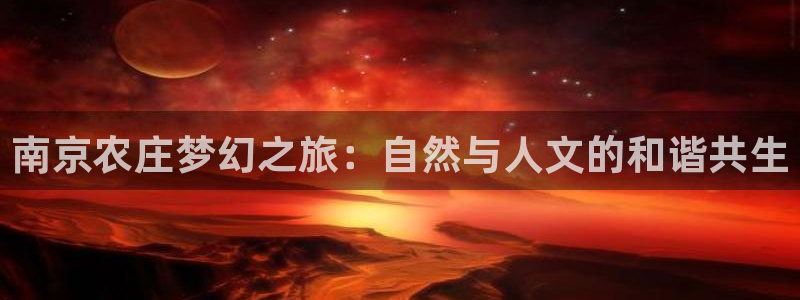 琳琅满目的娱乐设施