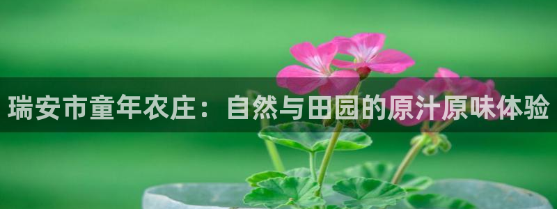 杭州琳琅互动娱乐