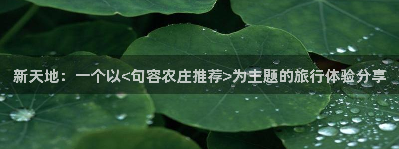 琳琅娱乐主管是谁