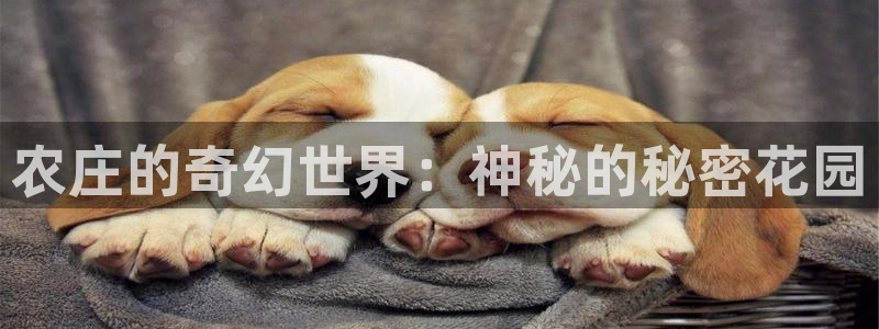 琳琅娱乐前7O777