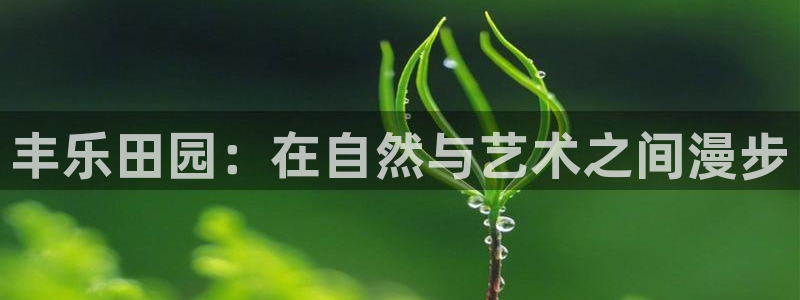 琳琅娱乐注册资金多少