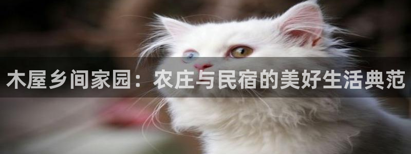 琳琅国际娱乐会所地址