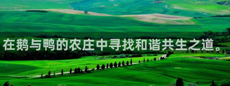 琳琅娱乐放心33300