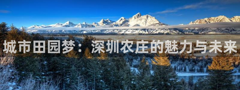 琳琅娱乐登入官网