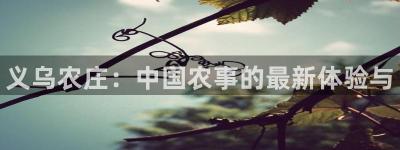 琳琅娱乐场所有哪些