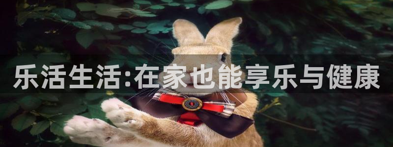 琳琅娱乐代理21192