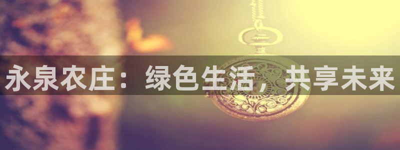 琳琅满目的娱乐设施